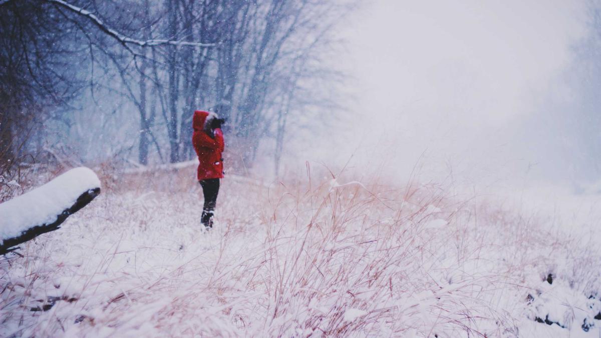 Illustration zu Epstein Zorro Ranch