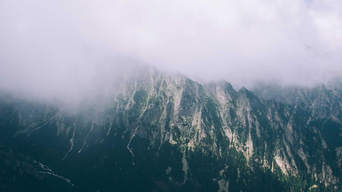 Detailansicht: Familienunternehmen Nachfolge