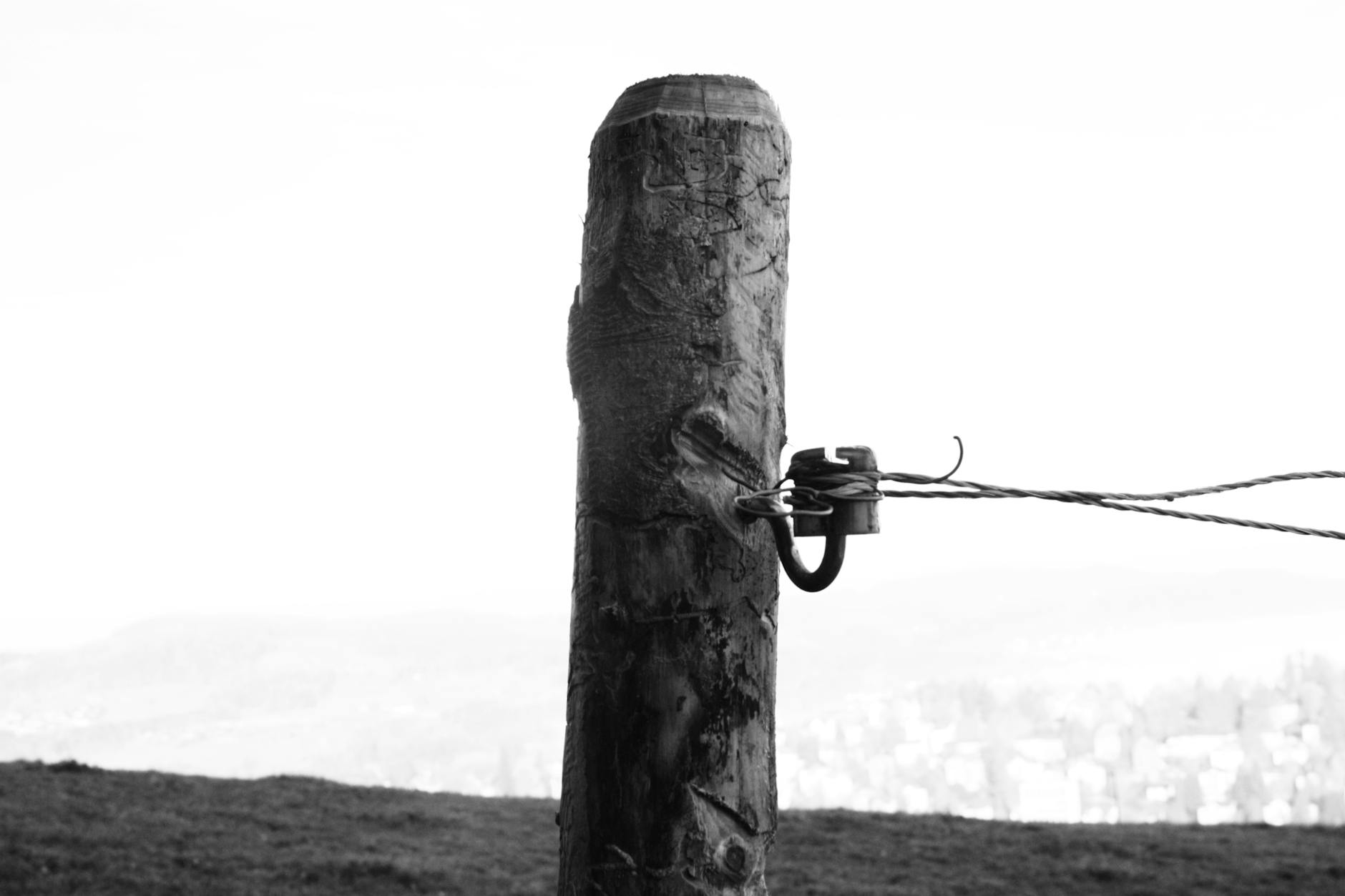 Illustration zu FC ST Gallen YB