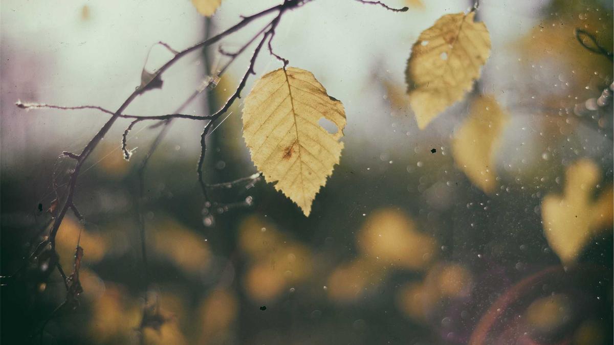 Illustration zu FCZ GC Derby