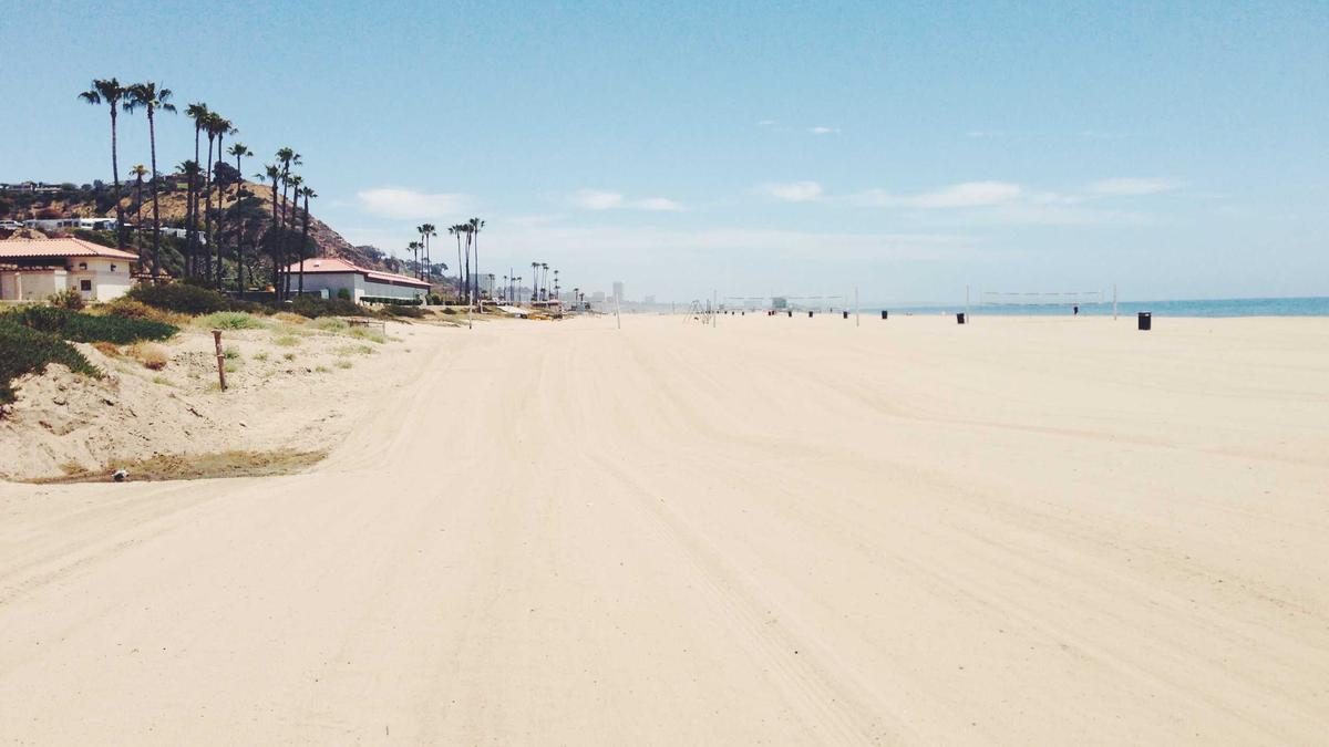 Symbolbild zum Thema Floreana Insel Schildkröten