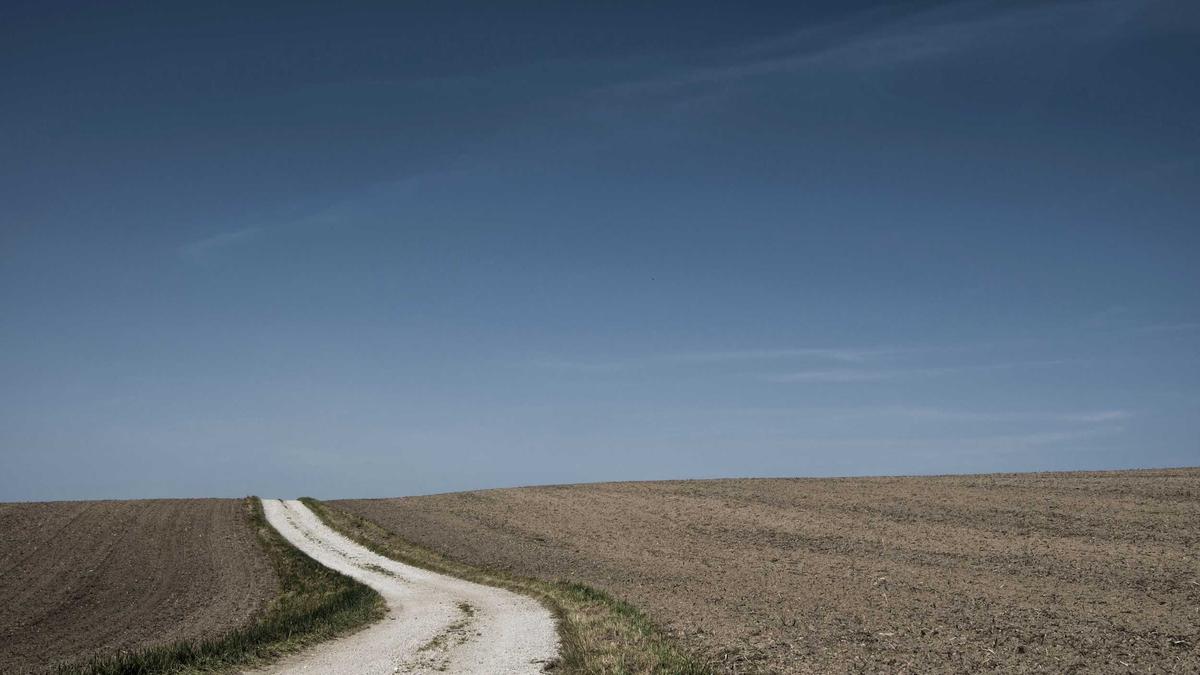 Fragen Zum Ukrainekrieg Symbolbild zum Thema Fragen Zum Ukrainekrieg