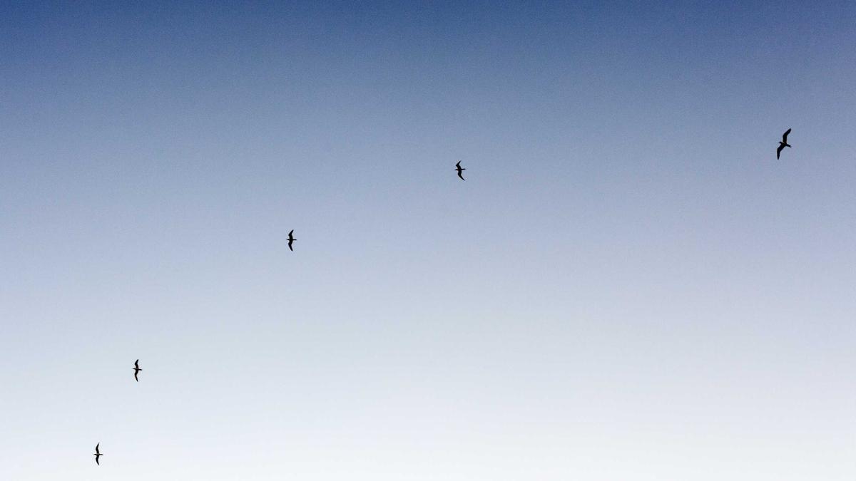 Fragen Zum Ukrainekrieg Detailansicht: Fragen Zum Ukrainekrieg