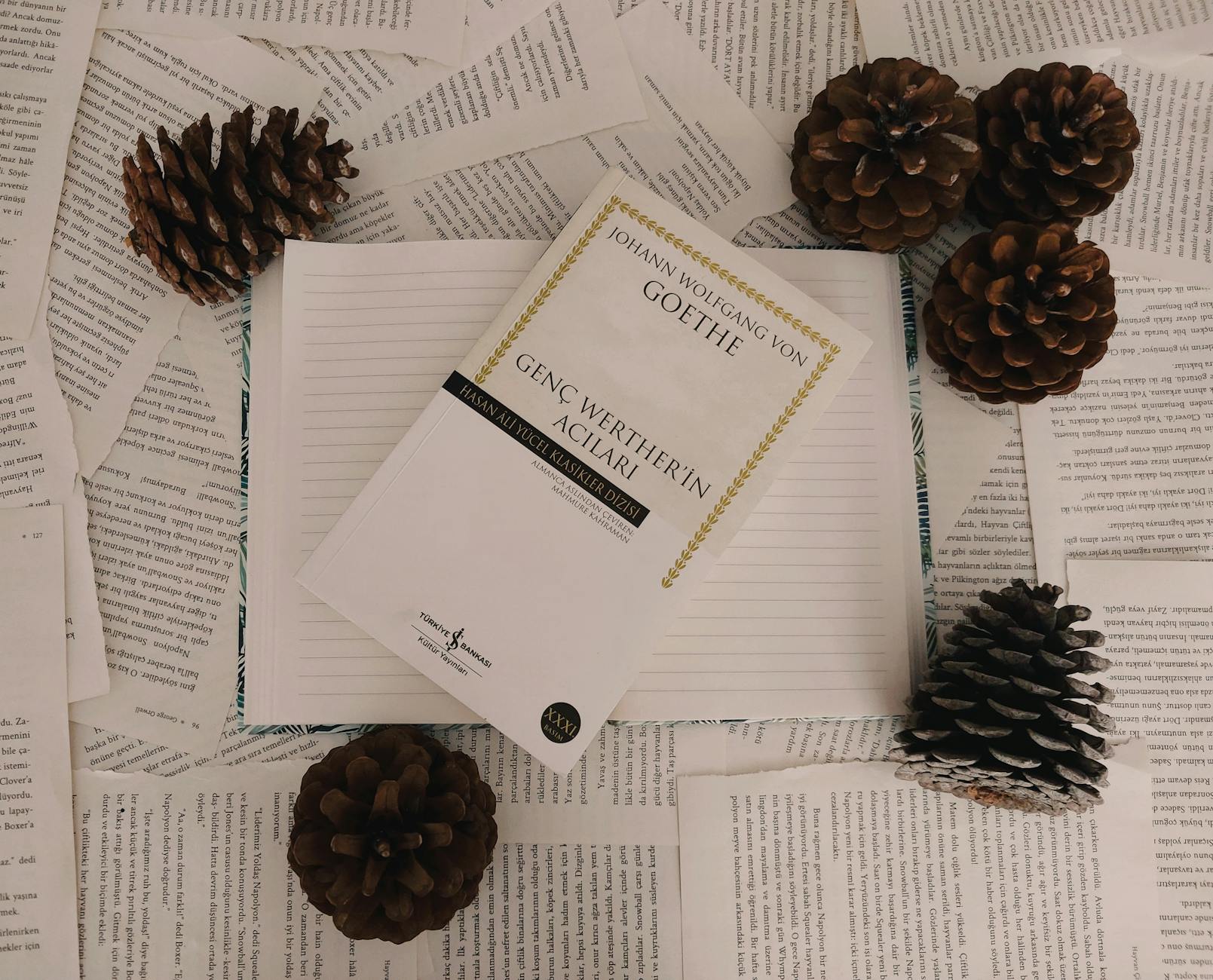 Illustration zu Franjo Von Allmen