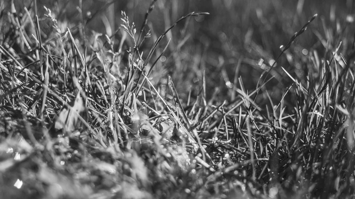 Detailansicht: Fußball DFB Pokal Auslosung