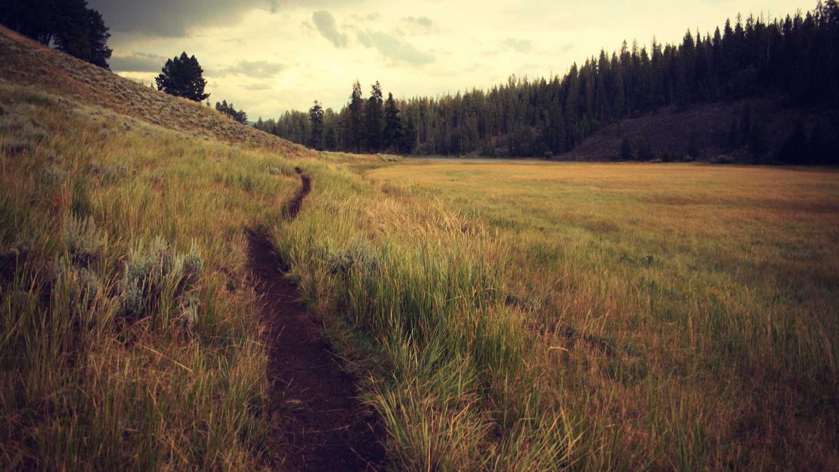 Detailansicht: Galatasaray Liverpool