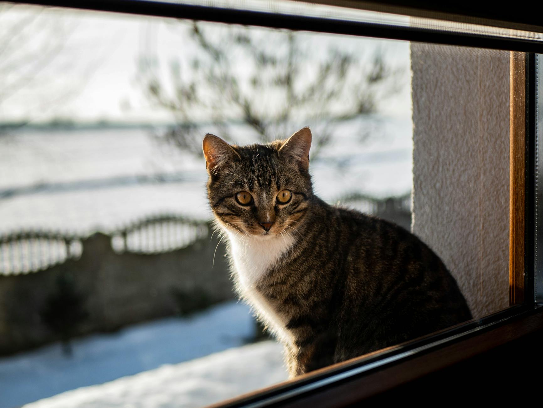 Detailansicht: Gil Ofarim Hotelmitarbeiter