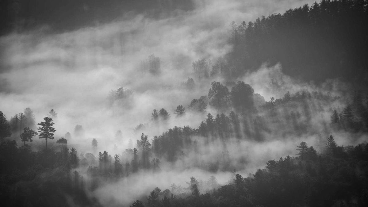Symbolbild zum Thema Grischa Prömel