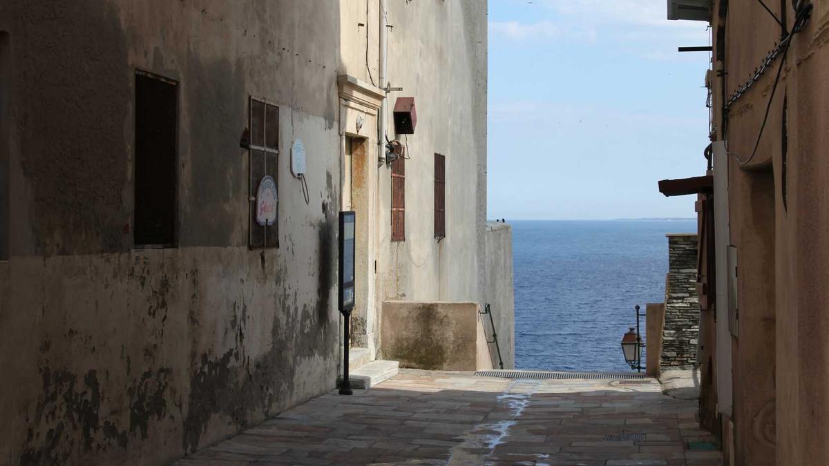 Detailansicht: Grünen Spargel Anbauen