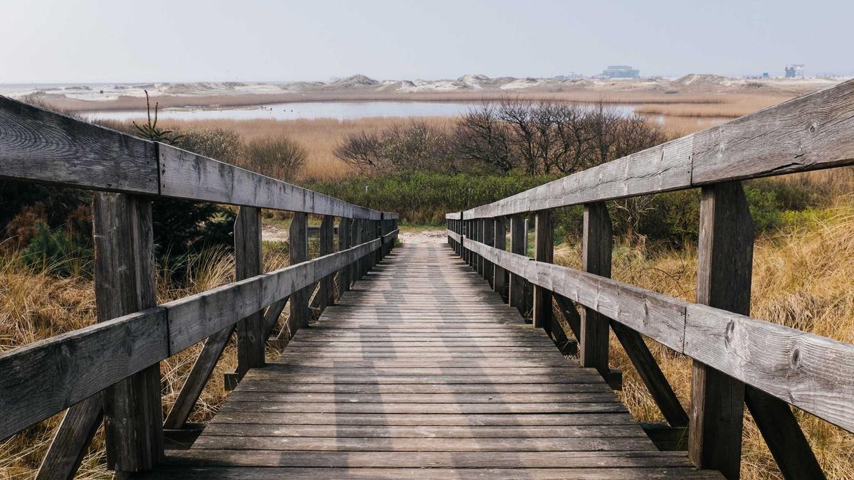 Haiwarnung Australien Detailansicht: Haiwarnung Australien