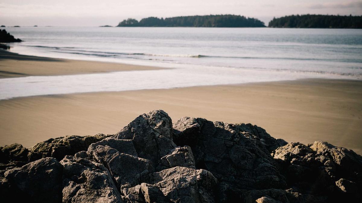 Detailansicht: Harald Martenstein