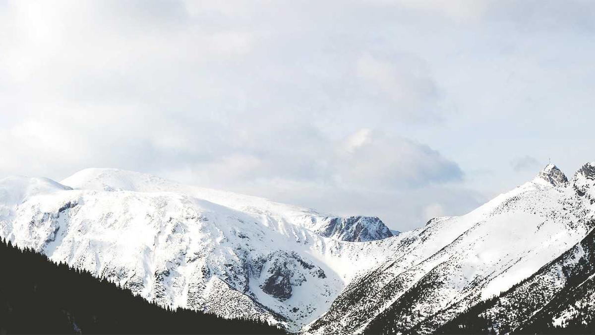 Detailansicht: Hart Aber Herzlich Reunion