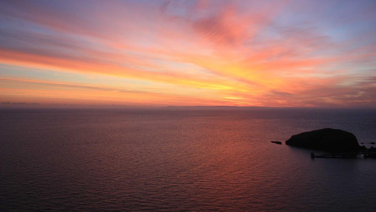 Symbolbild zum Thema Hbo Max PayPal