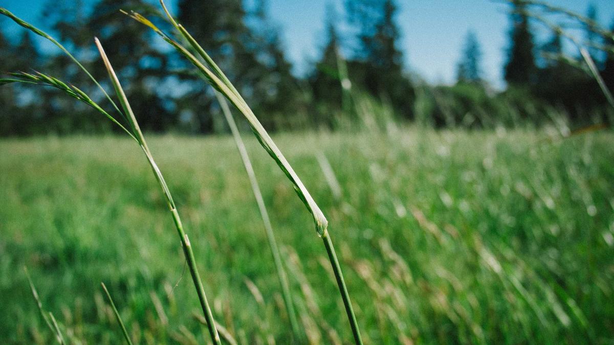 Symbolbild zum Thema Herzkrankes Kind Gestorben