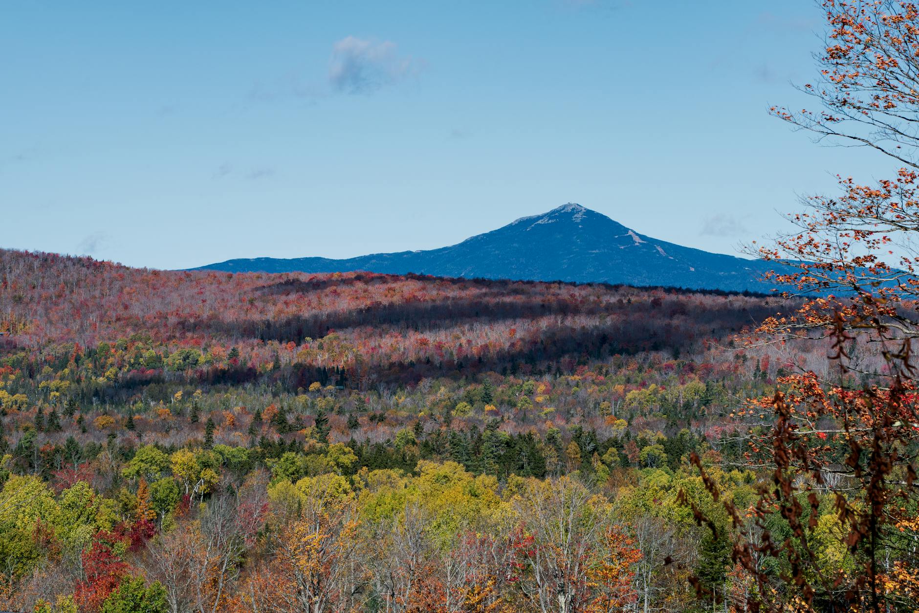 James Van Der Beek Illustration zu James Van Der Beek