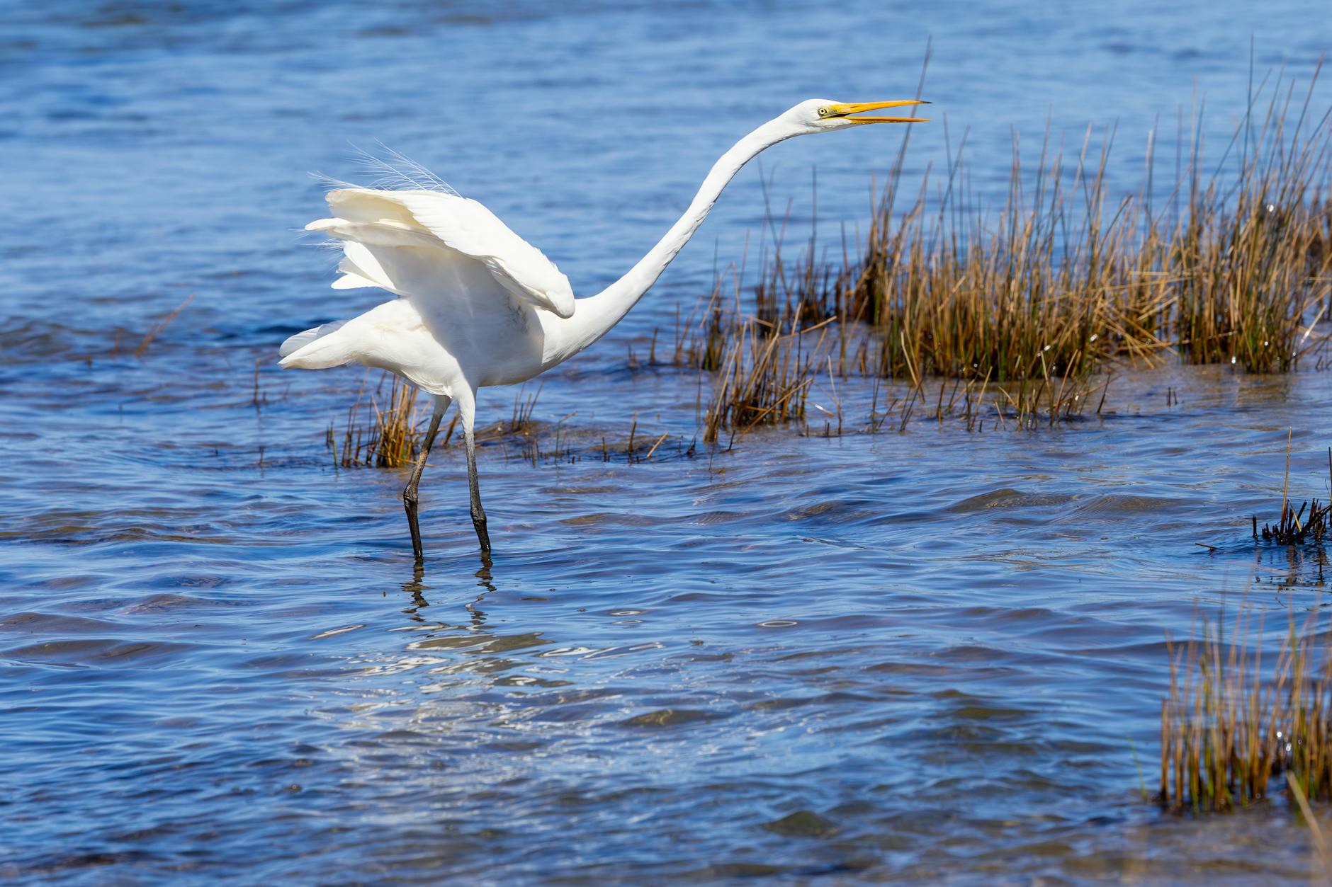 Symbolbild zum Thema Jessica Alba