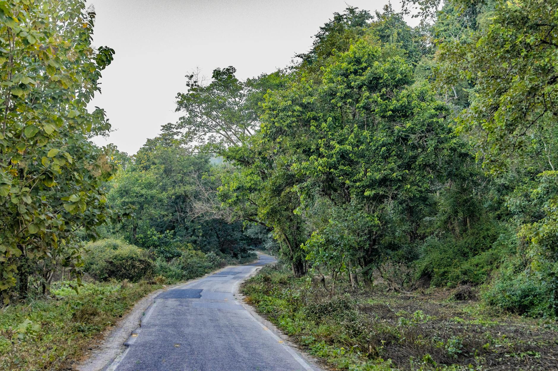 Illustration zu Jim Curtis Jennifer Aniston