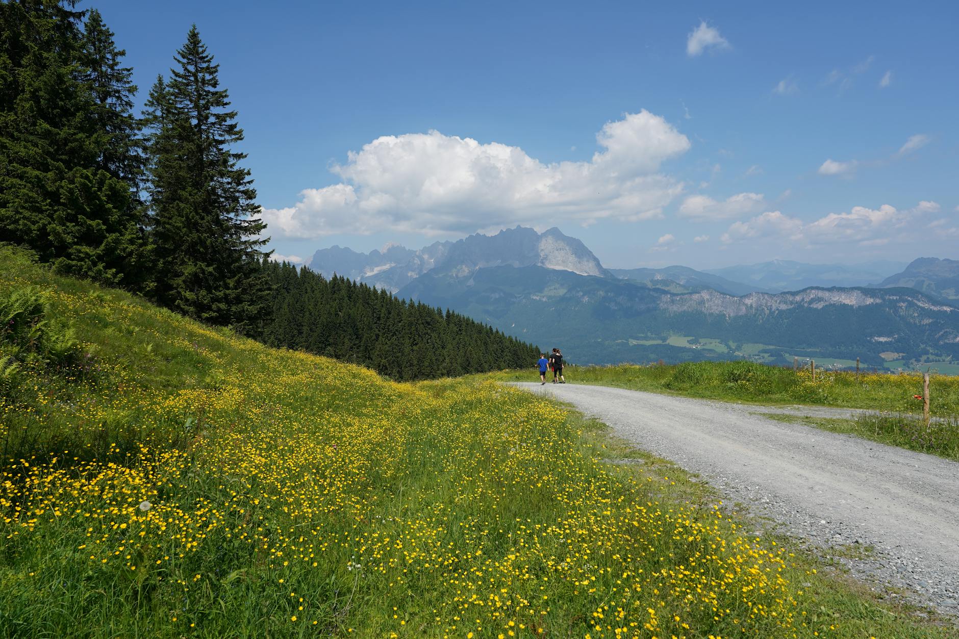 Detailansicht: Johann Lafer