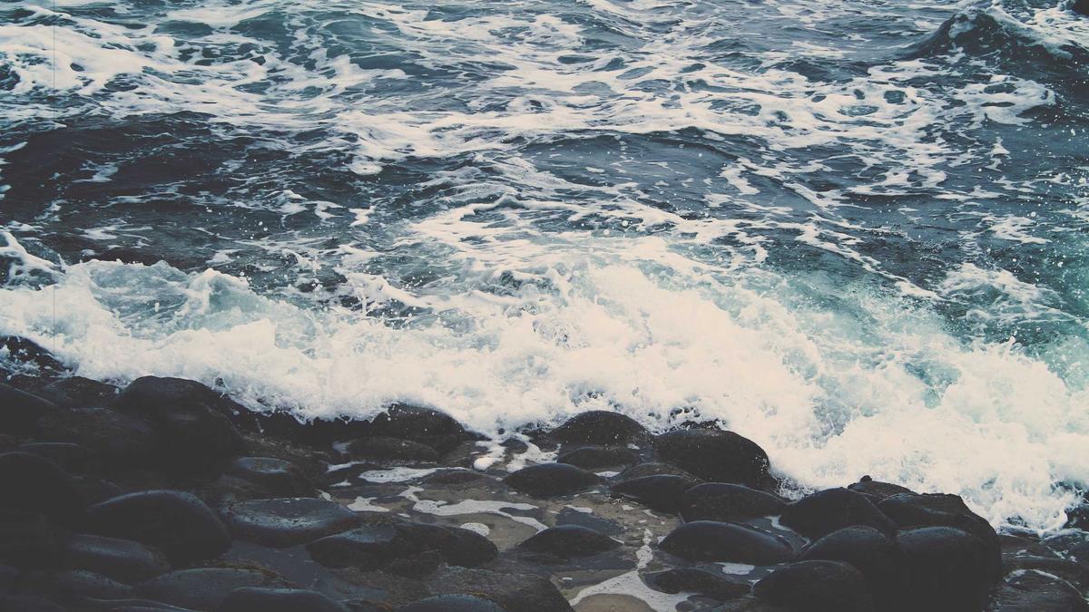 Juan Carlos Rückkehr Detailansicht: Juan Carlos Rückkehr