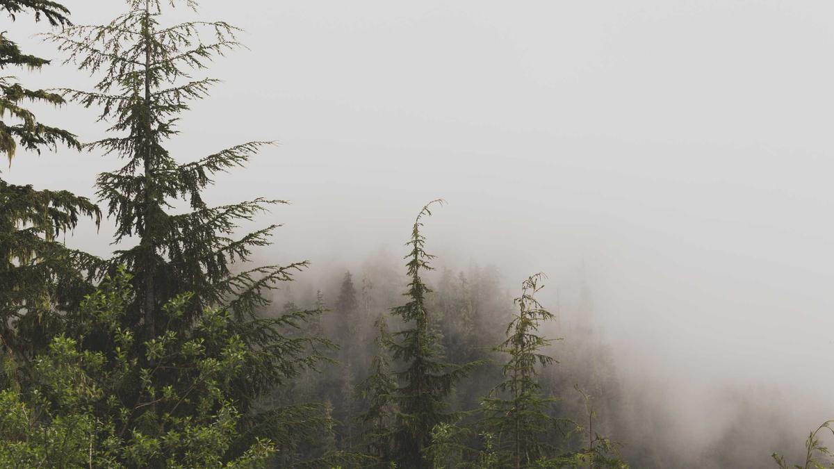 Detailansicht: Juliette Lewis Neue Beziehung