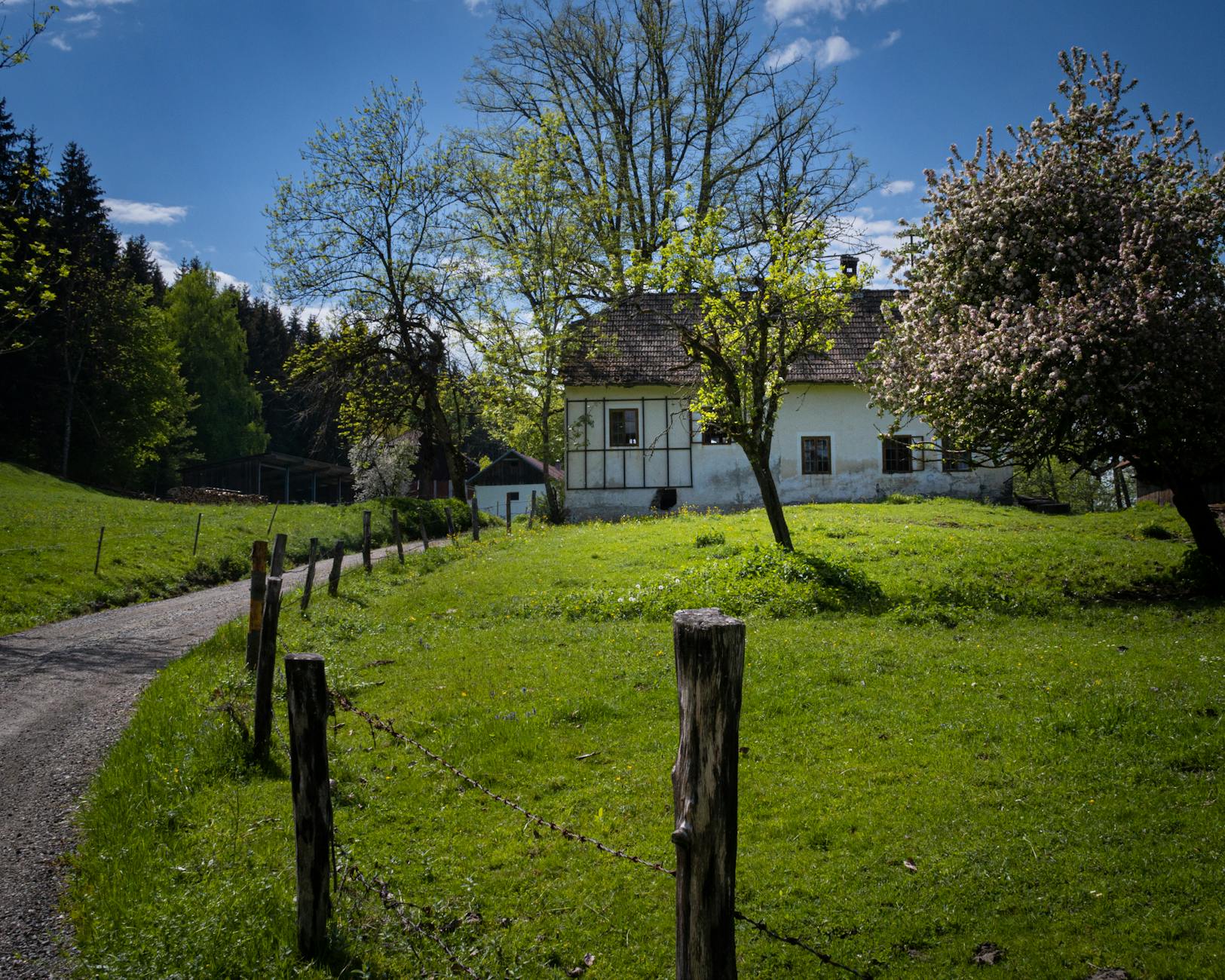 Klagenfurt Wohnen Betrug Detailansicht: Klagenfurt Wohnen Betrug