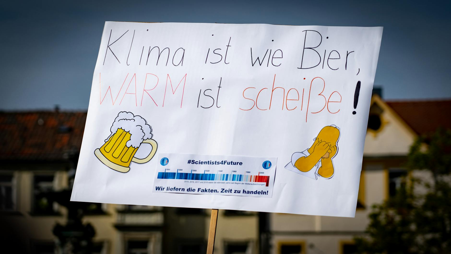 Klimawandel Weideflächen Detailansicht: Klimawandel Weideflächen