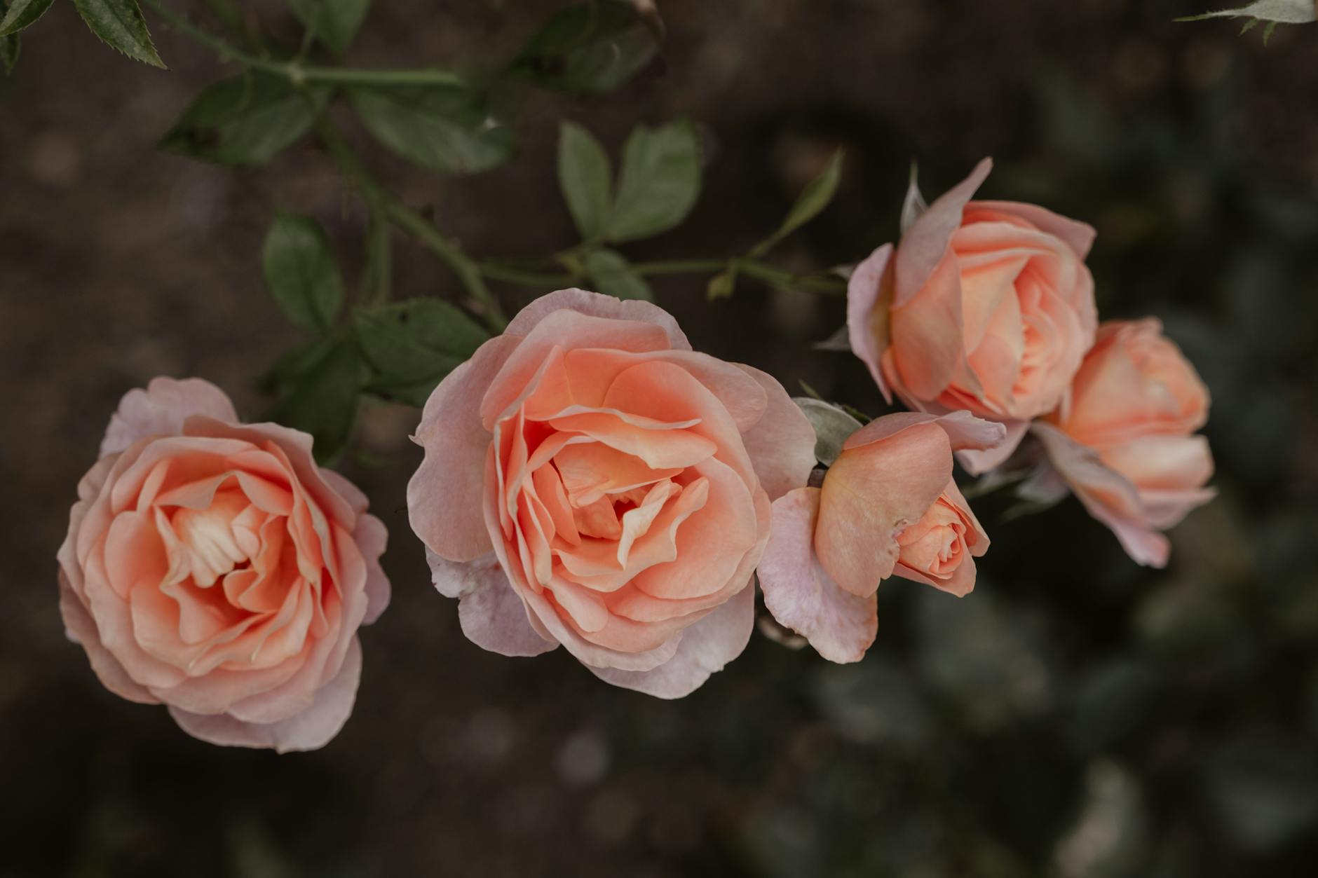 Illustration zu Konjunktur Deutschland