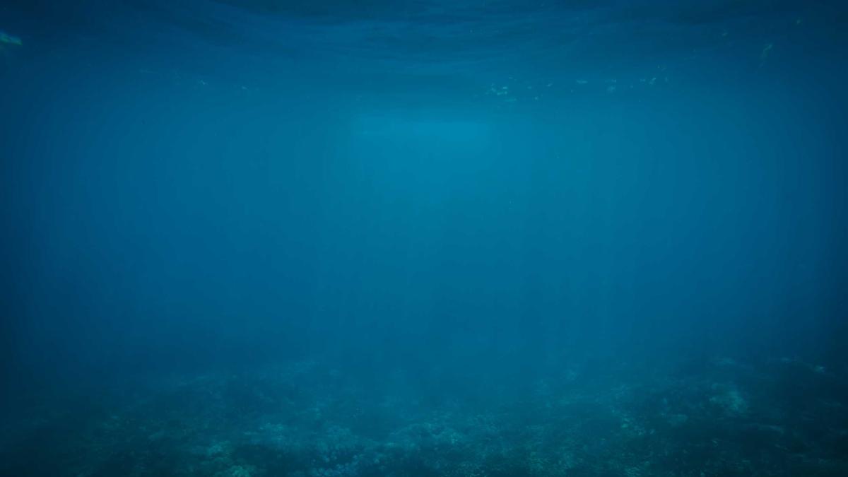 Symbolbild zum Thema Kronprinzessin Victoria Olympia