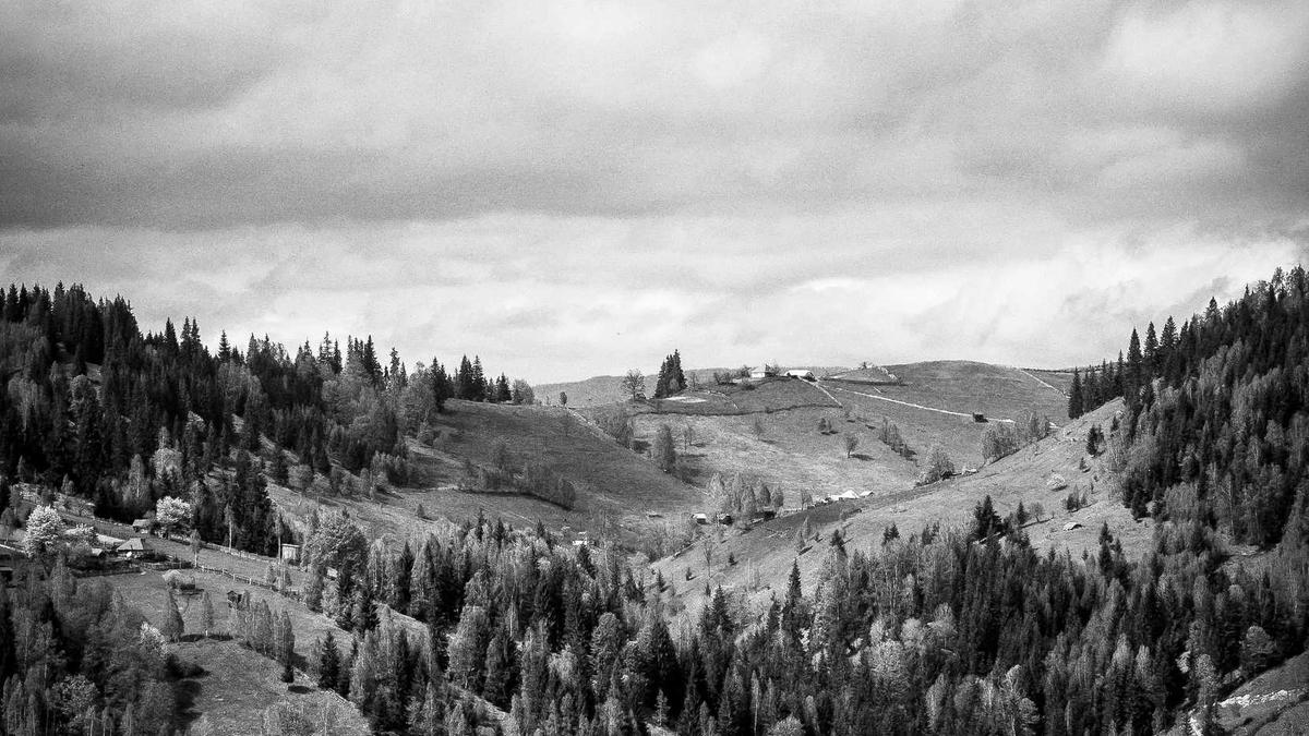 Laura Dahlmeier Detailansicht: Laura Dahlmeier