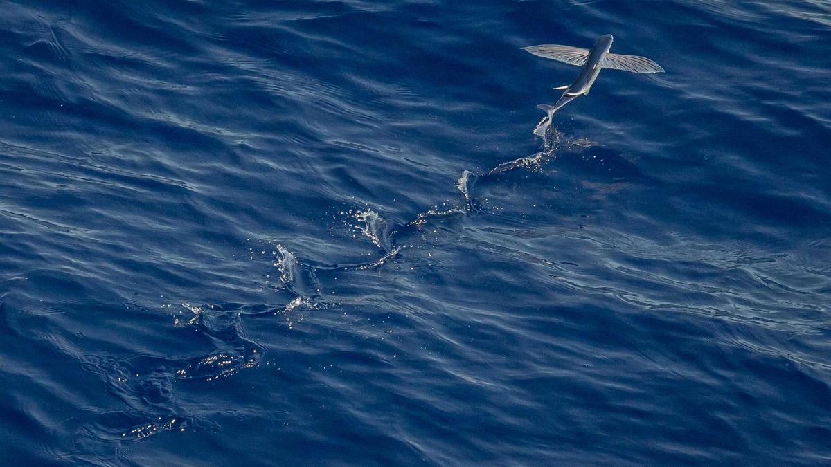 Laura Dahlmeier Park Detailansicht: Laura Dahlmeier Park