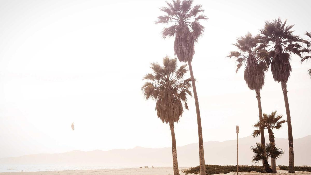 Symbolbild zum Thema Lawinenunglück USA