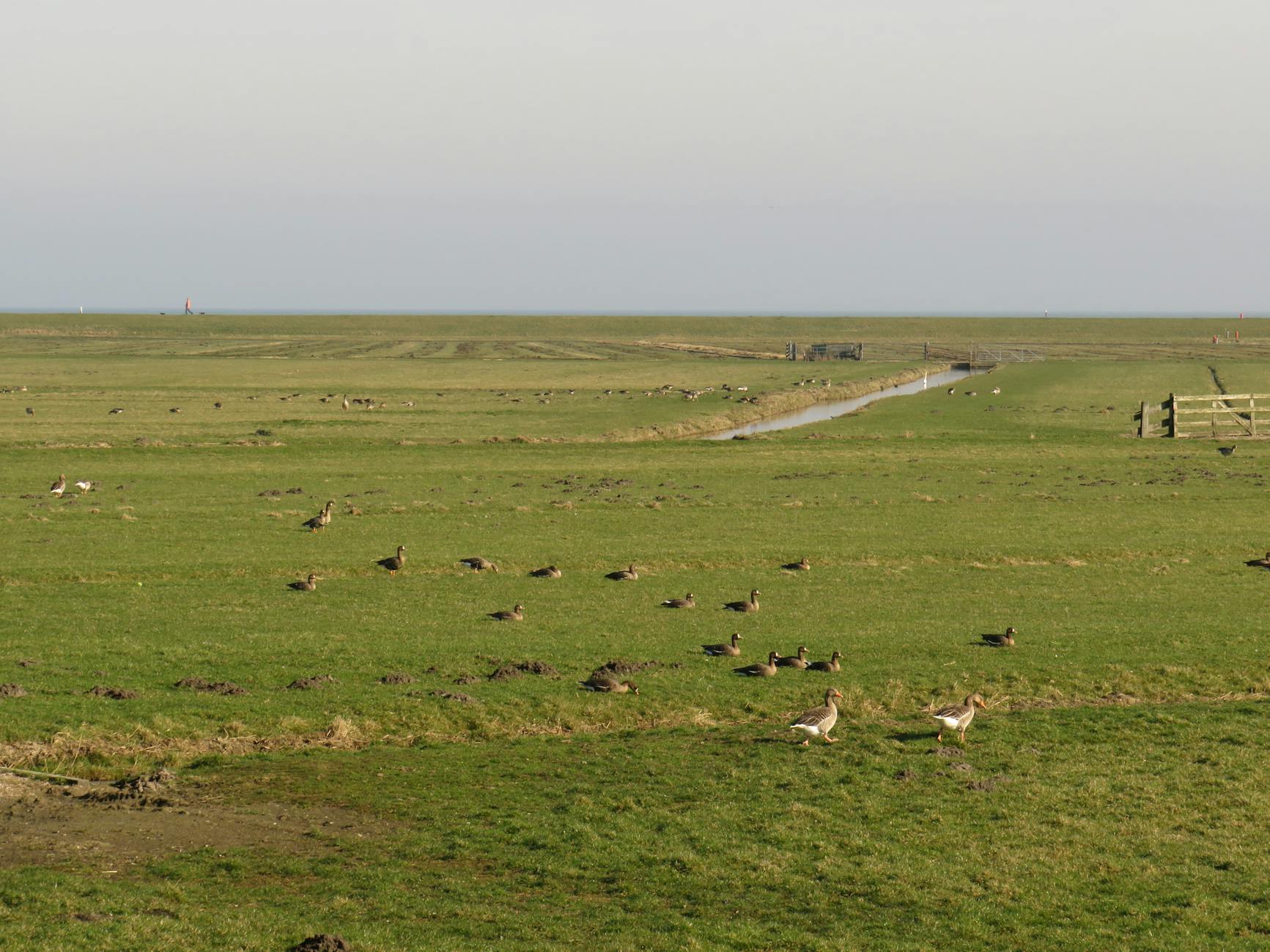 Detailansicht: Lea Wagner Tränen