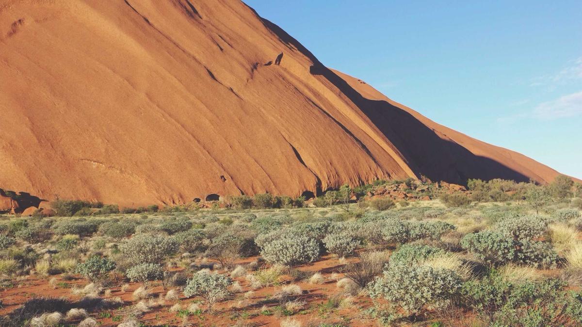 Symbolbild zum Thema Leichenteile Hessen