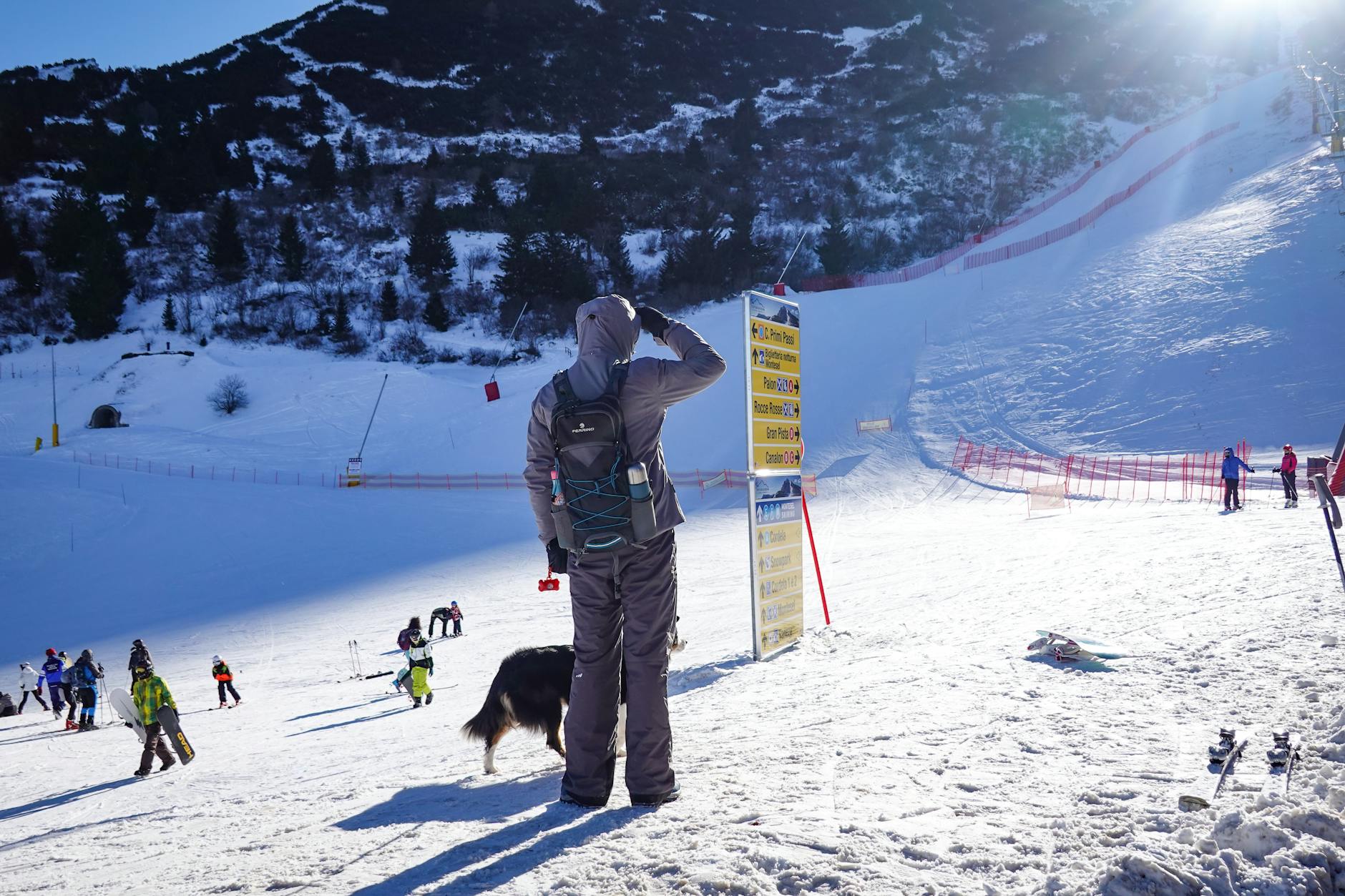 Detailansicht: Lindsey Vonn Ski Alpin