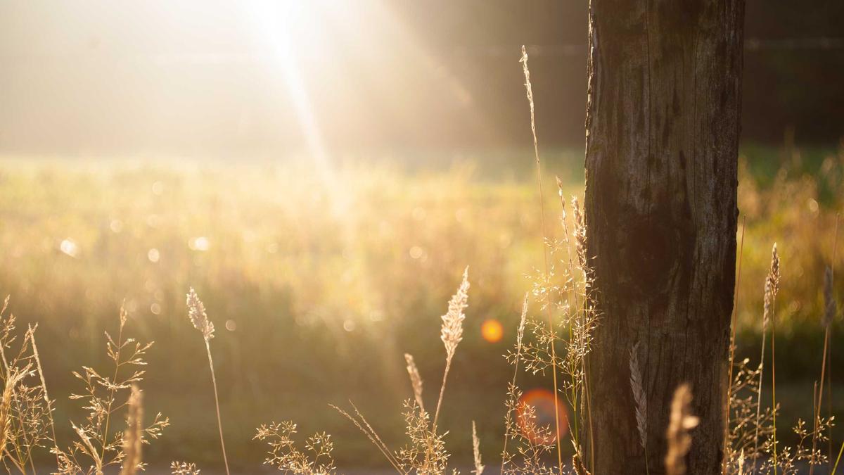Symbolbild zum Thema Lisa Buckwitz
