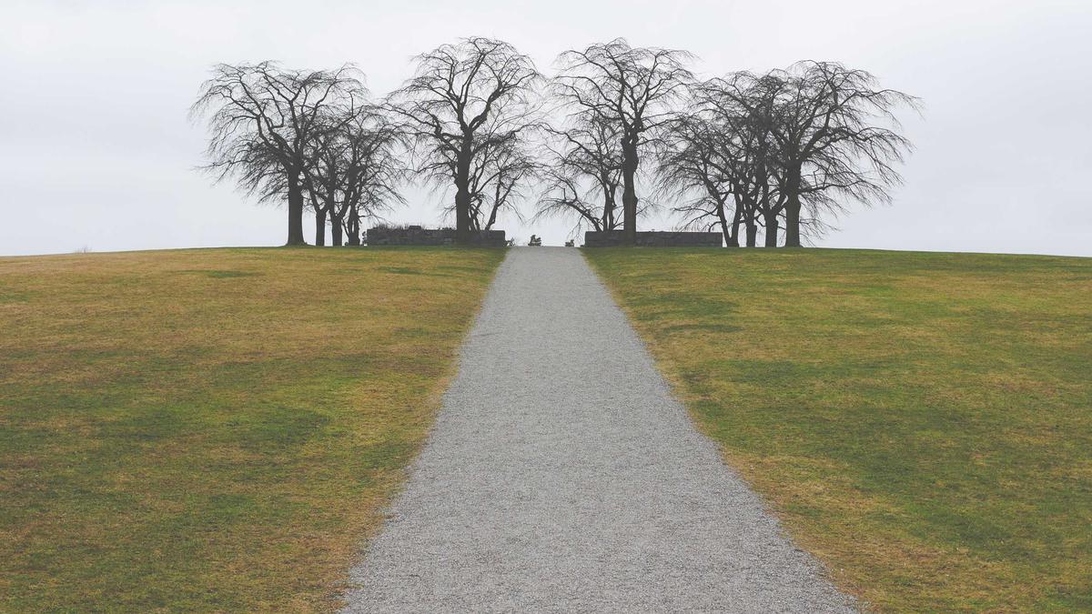 Illustration zu Lunar New Year