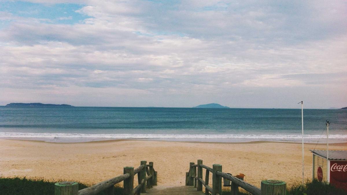 Illustration zu Meme Politik