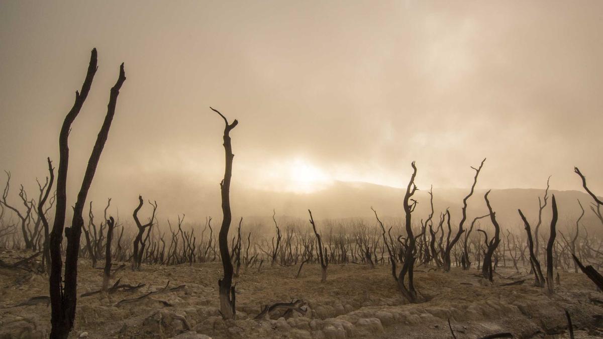 Illustration zu Mexiko Unruhen