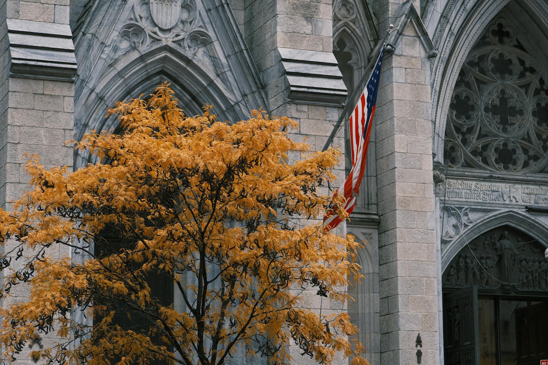 Symbolbild zum Thema Michael Patrick Kelly The Voice Kids