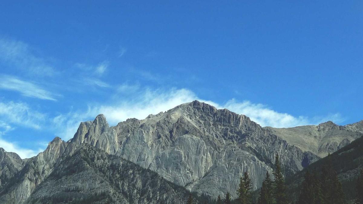 Michelle Trachtenberg Tot Symbolbild zum Thema Michelle Trachtenberg Tot