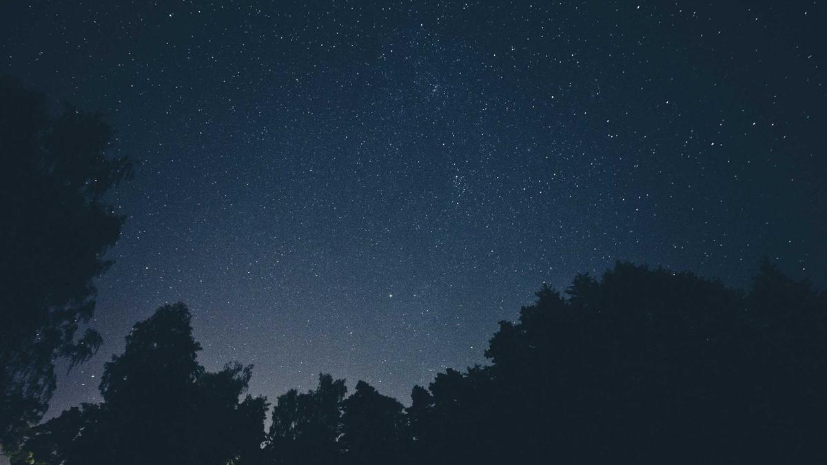 Illustration zu Minerva Hase Freund