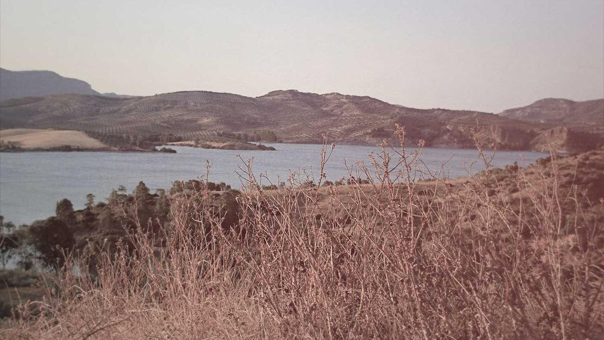 Netflix Top Movies Right Now Detailansicht: Netflix Top Movies Right Now