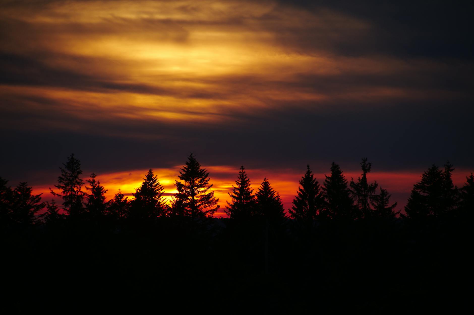 Detailansicht: Neuenburger Jura Tierquälerei