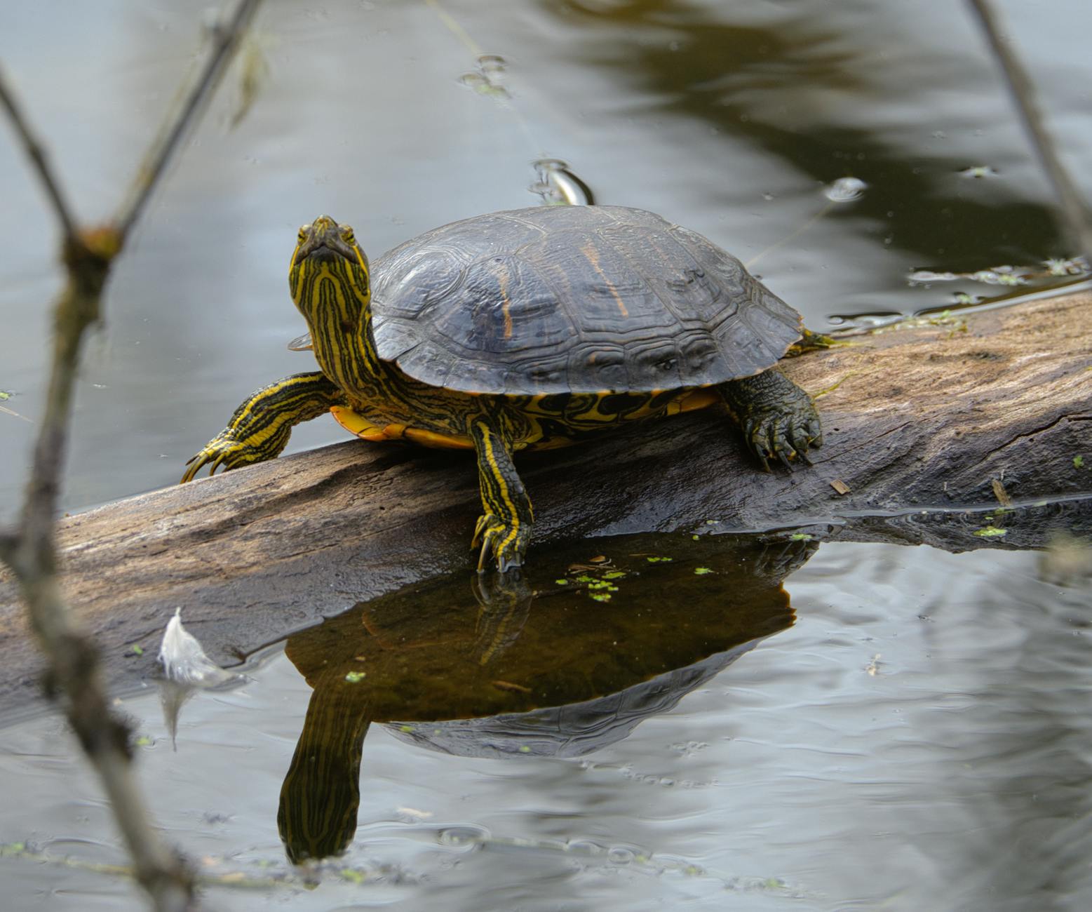 Detailansicht: Olympia Heute Zeitplan