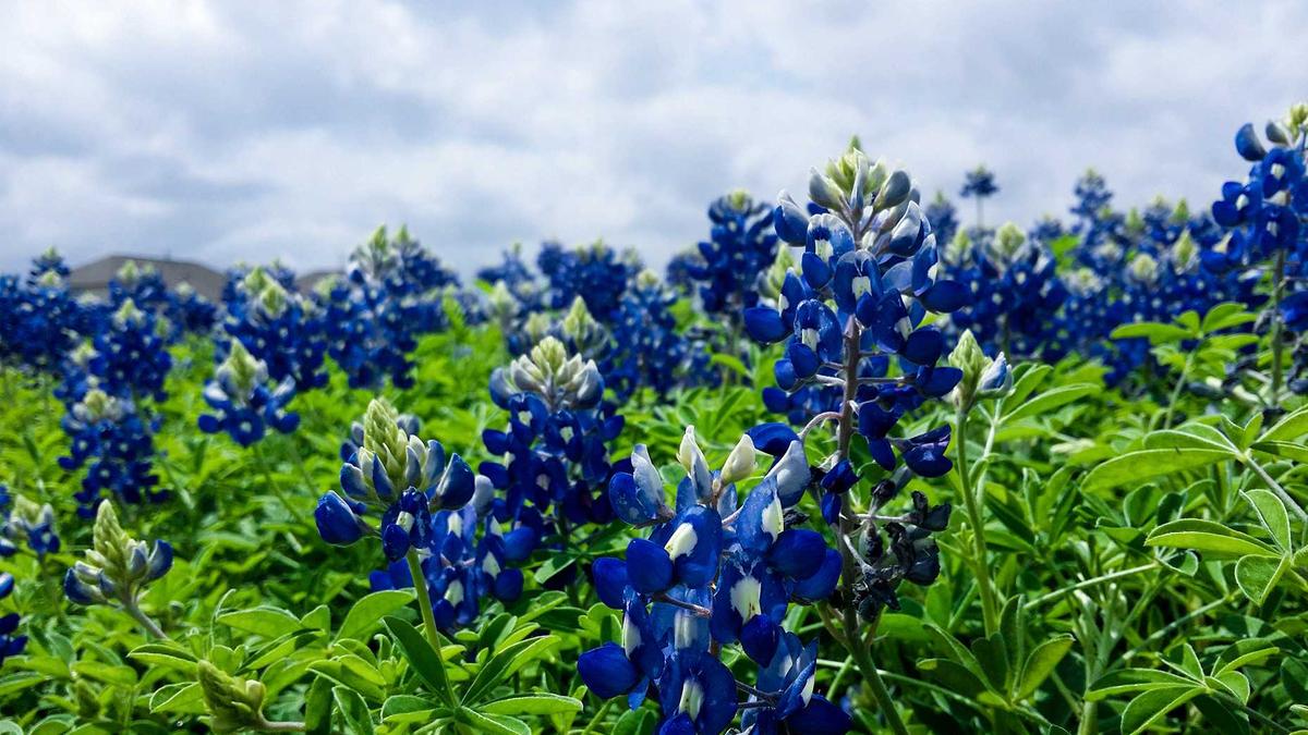 Symbolbild zum Thema Olympische Winterspiele Spielplan Und Ergebnisse