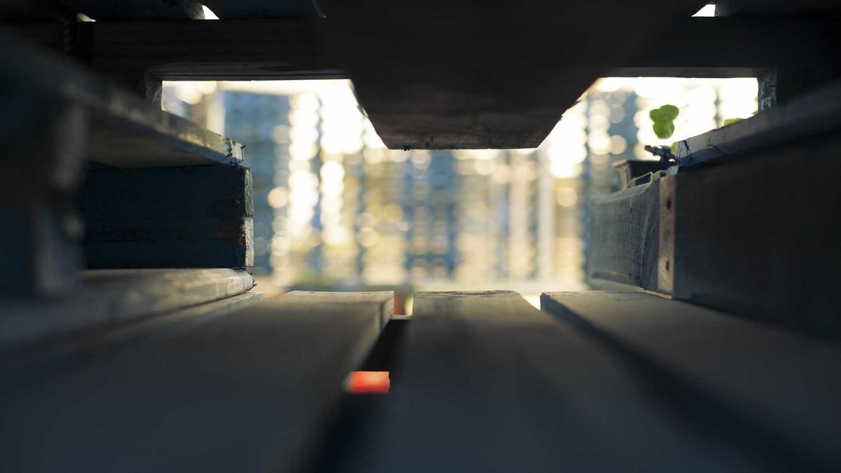 Illustration zu Pakistan VS Namibia