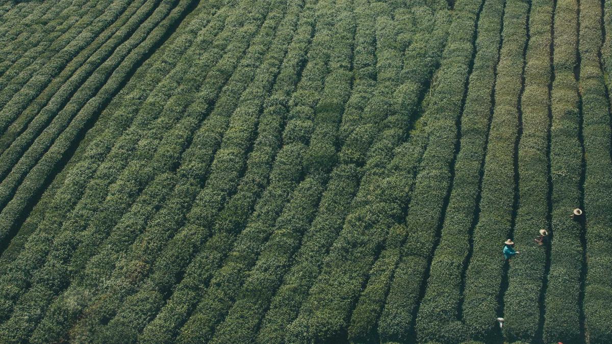 PayPal Hbo Max Symbolbild zum Thema PayPal Hbo Max