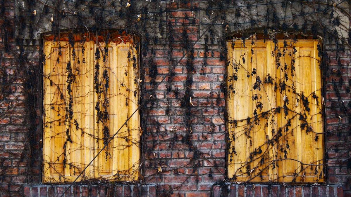 Pensionssystem Kritik Illustration zu Pensionssystem Kritik