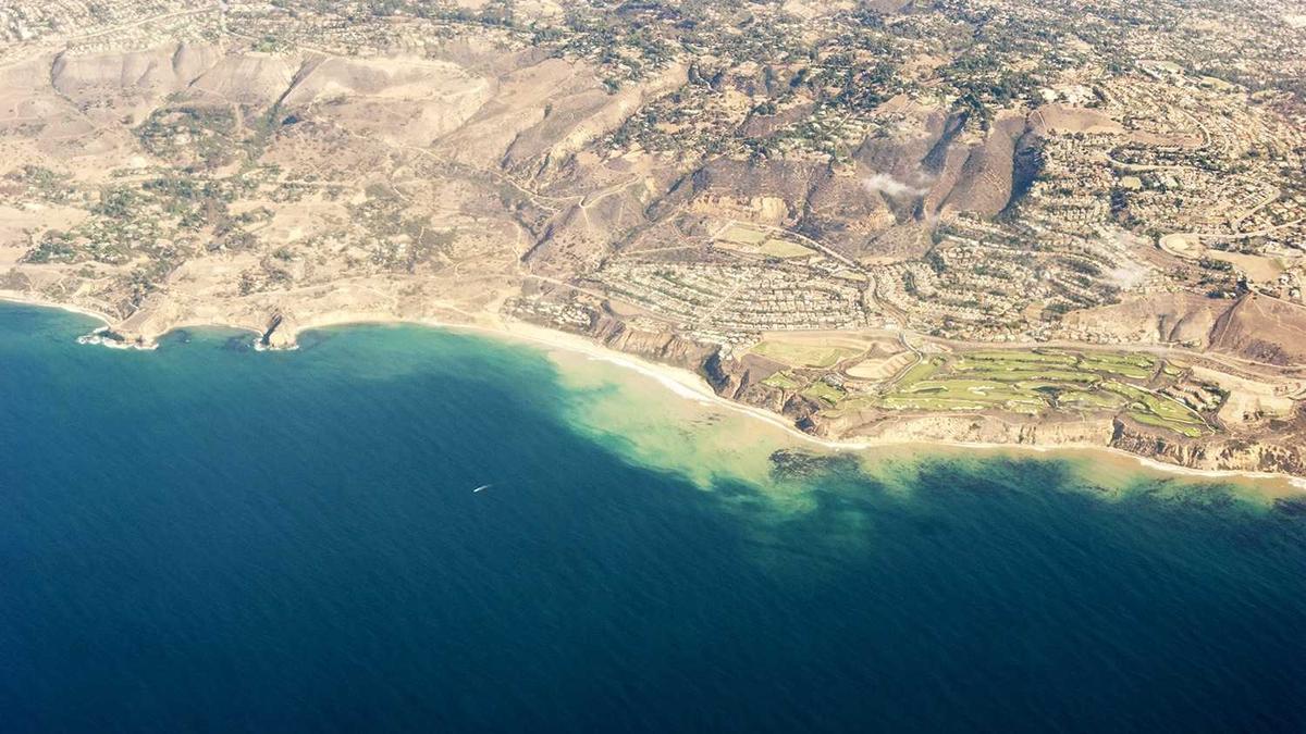 Peter Steinberger KI Detailansicht: Peter Steinberger KI