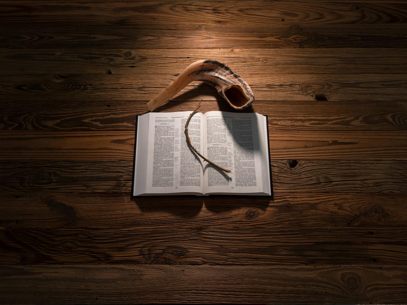 Symbolbild zum Thema Philipp Horn